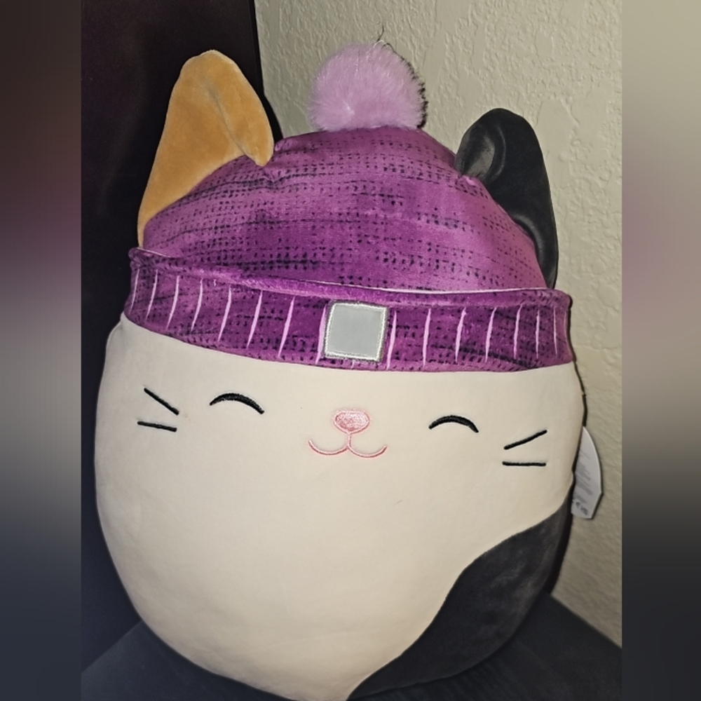 CAM  Squishmallow
